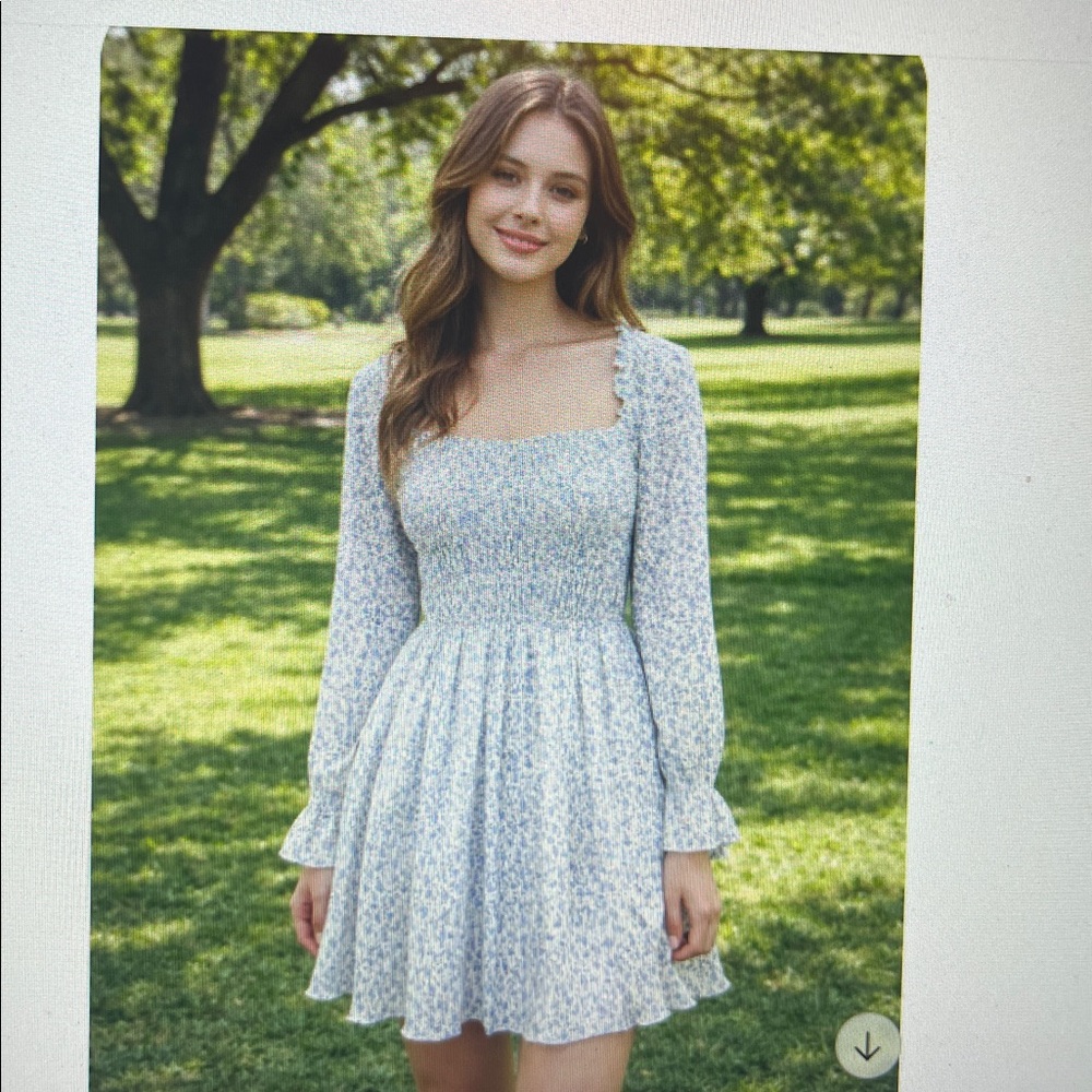 Lucy Paris XS Women’s Cream( almost pal yellow) Blue Floral Pleated  Dress